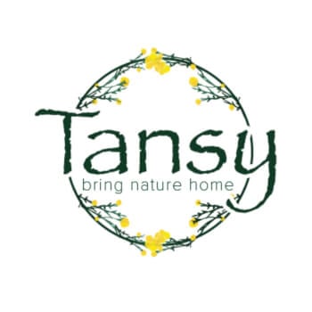 Tansy Burbank, terrarium and floristry teacher